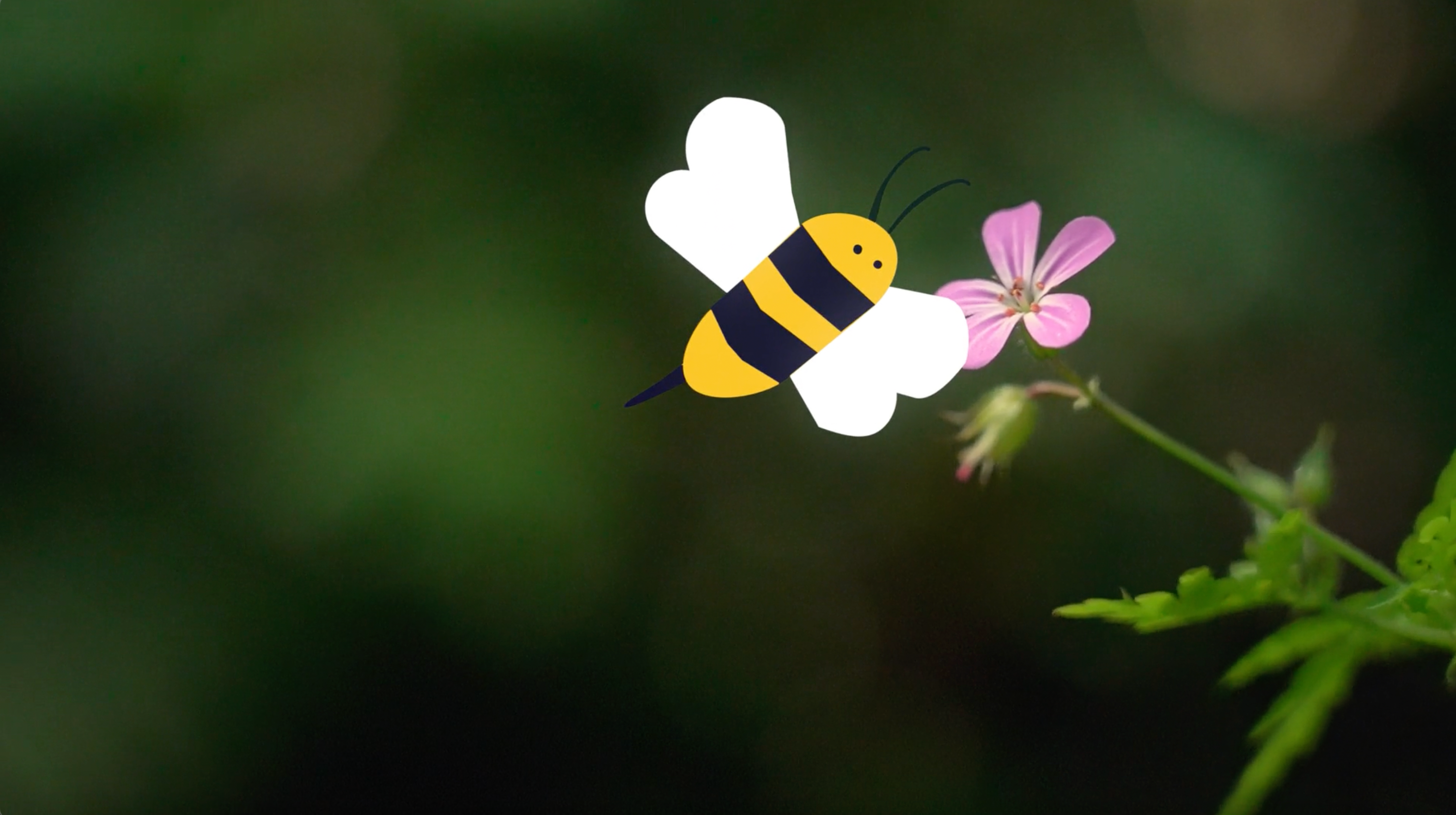 Early observations on working with Nature