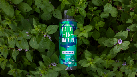 New Faith In Nature Mint Body Wash