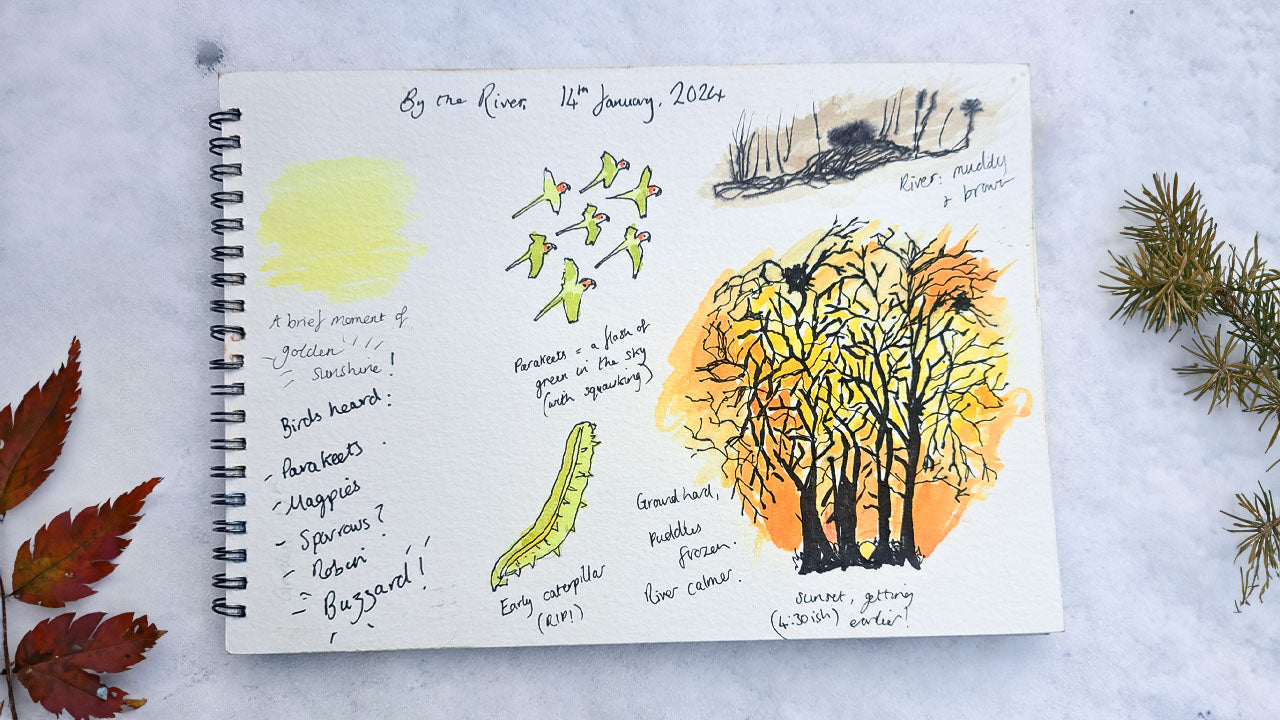 Nature Journalling for Mindfulness