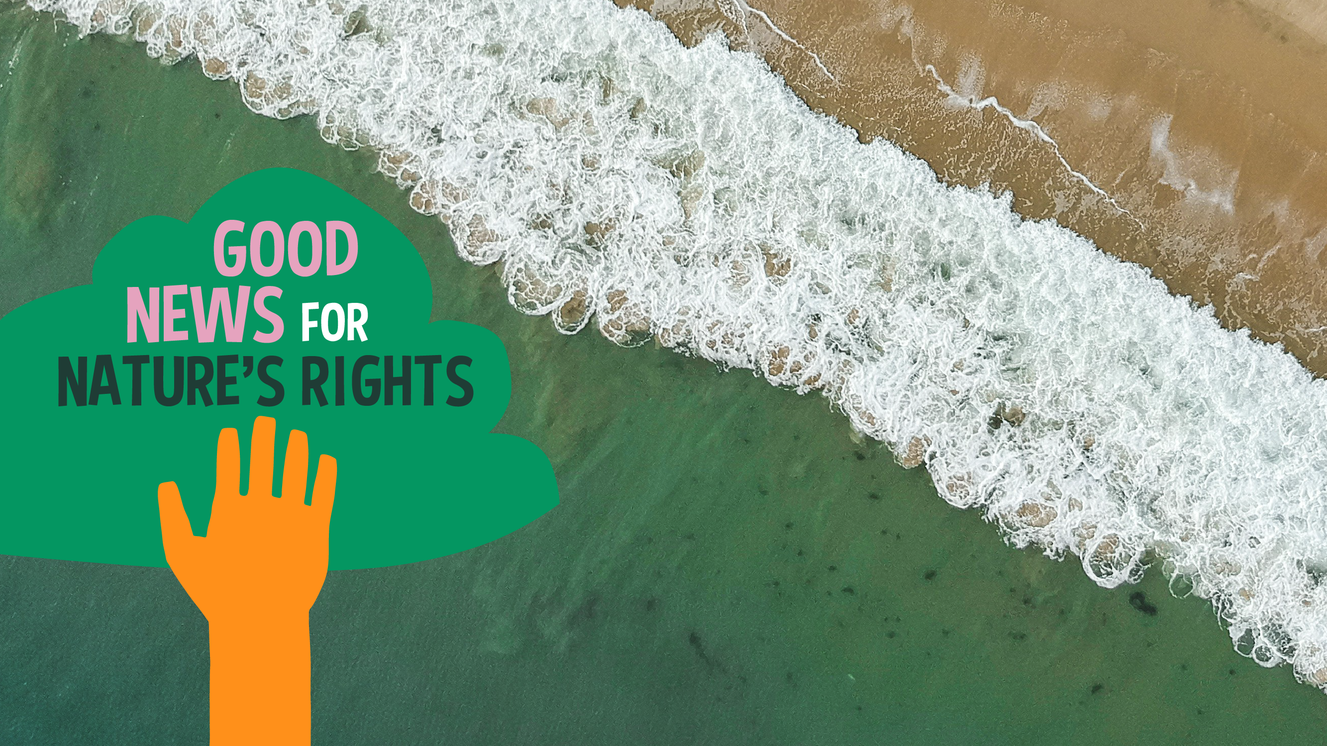 Brazil waves rights