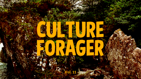 Culture forager, Vol 11