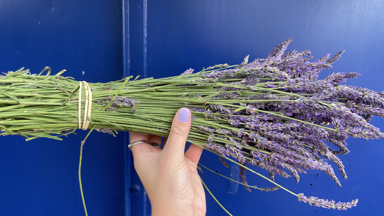 How to Dry Lavender