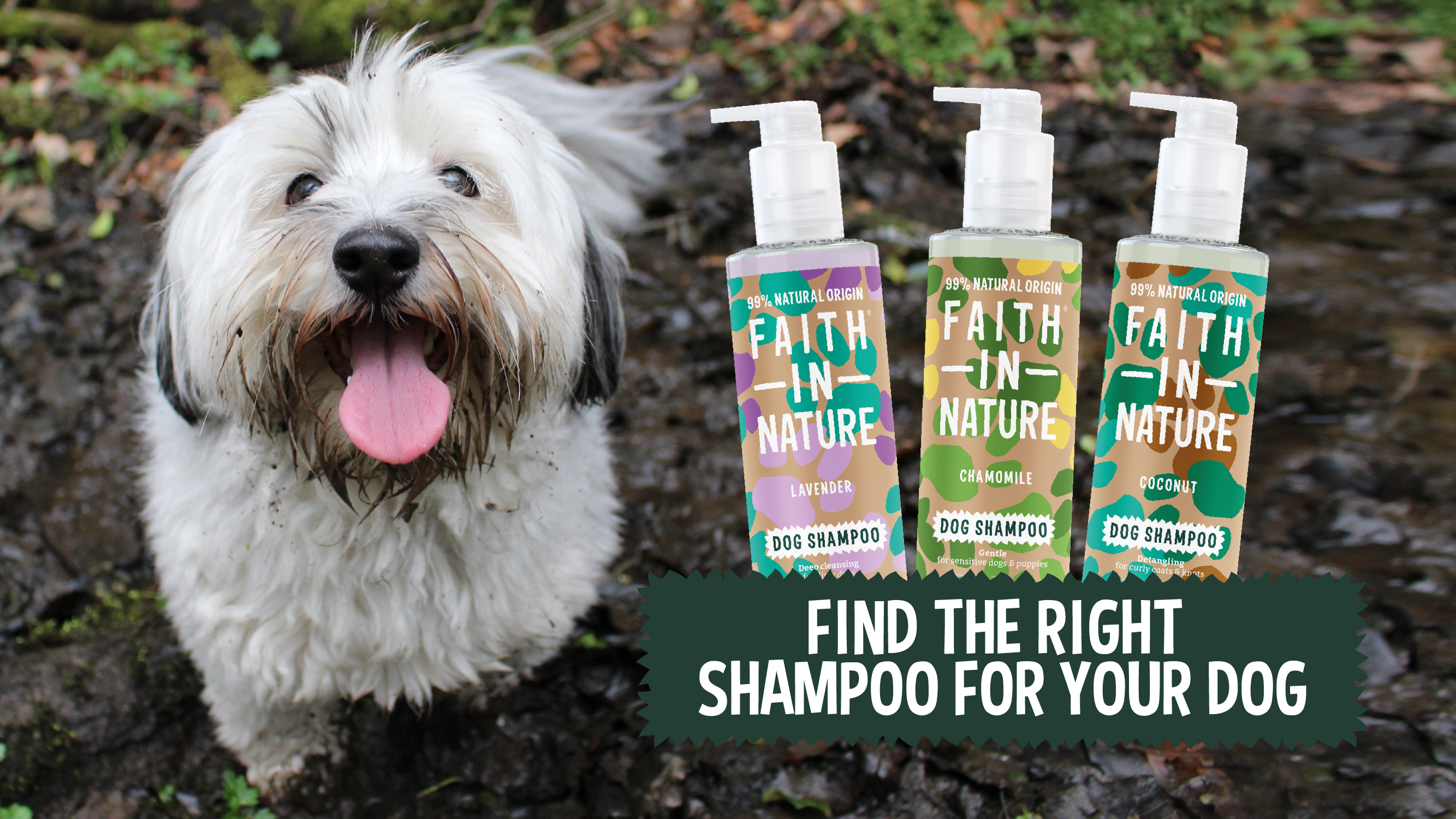 Find the Right Dog Shampoo for Your Dog