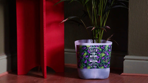Faith In Nature refill bottle plant pot
