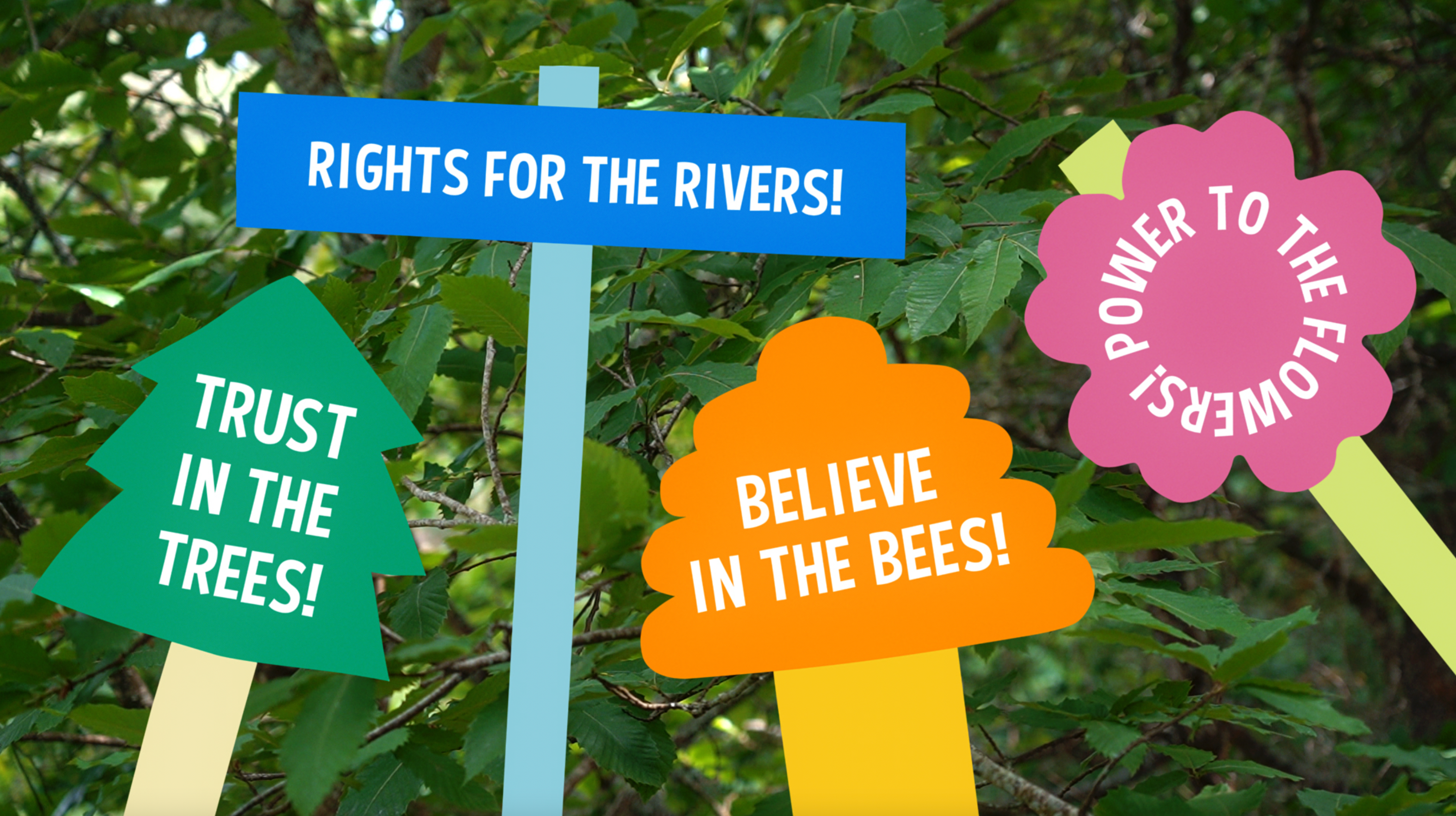RECOGNISING THE RIGHTS OF NATURE