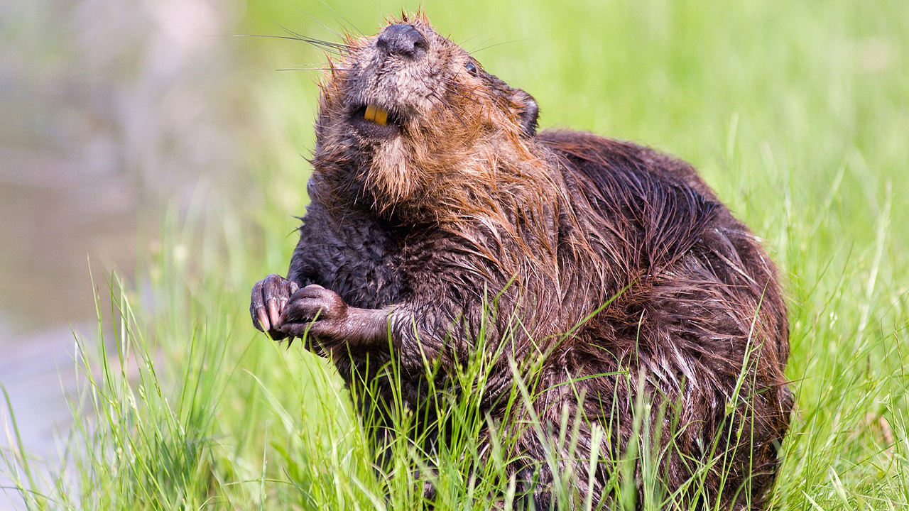 Good news for Nature from 2024