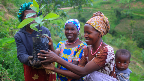Photo above of conservation work in Mbunga, Rwanda, courtesy of Alpha Women Empowerment Initiative and International Tree Foundation