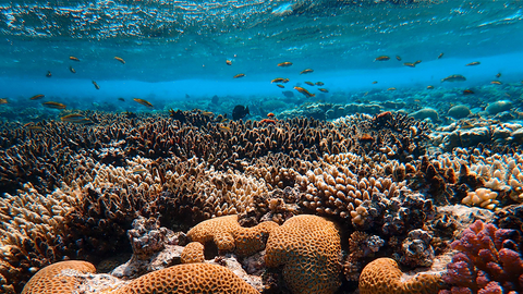 Summer Skincare Tips