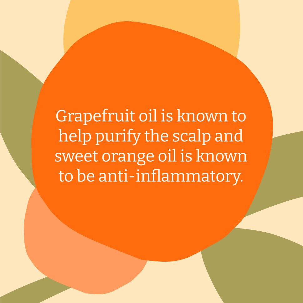 Grapefruit & Orange Shampoo - 2.5L