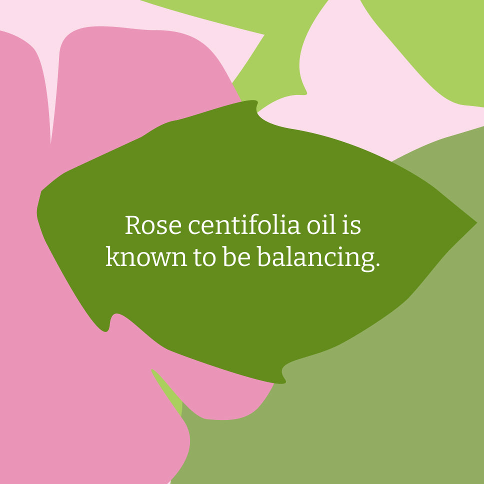 Wild Rose Hair & Body Care Bundle