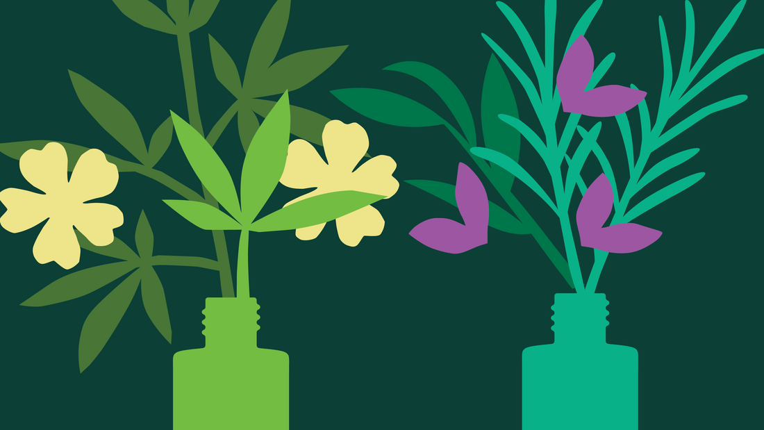 How to Use Essential Oils