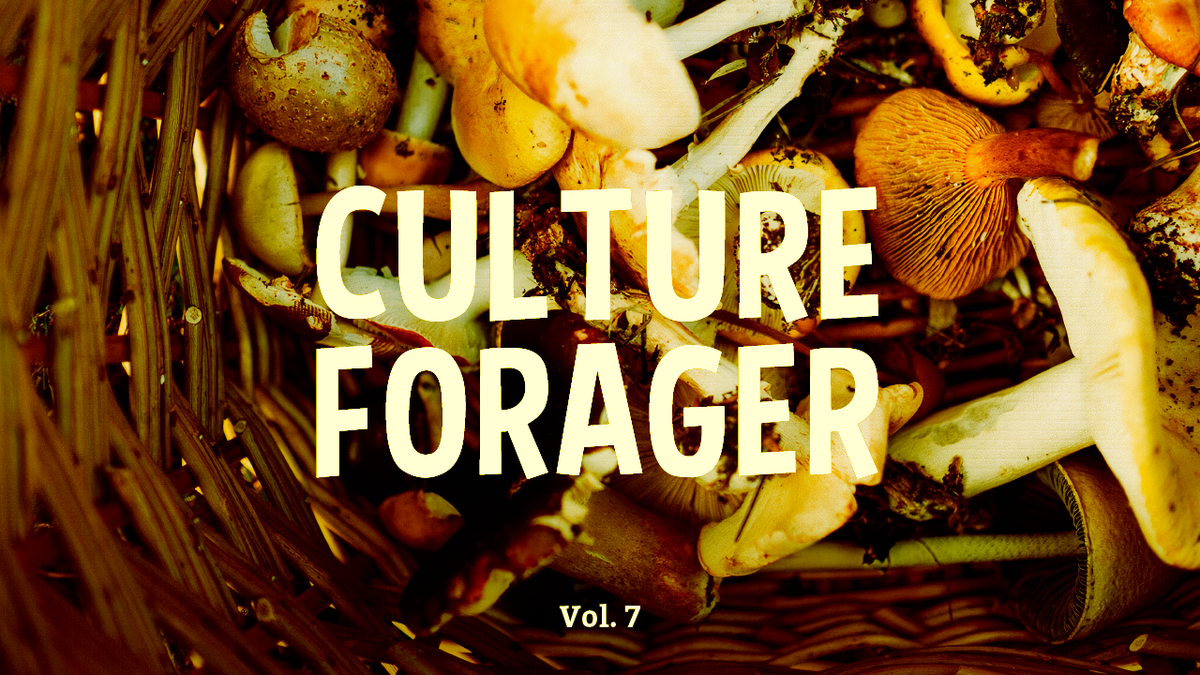 Faith In Nature Culture Forager, Vol. 7