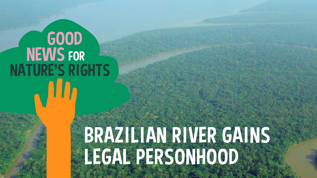 Brazilian River Gains Legal Personhood