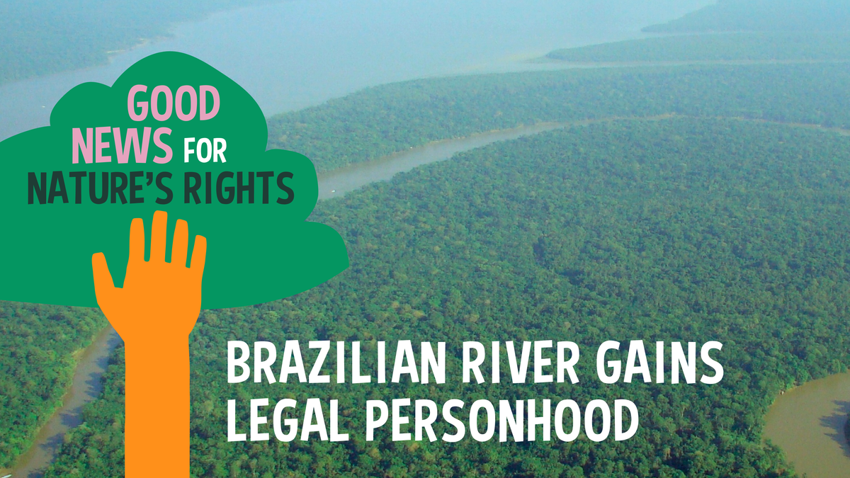 Brazilian River Gains Legal Personhood