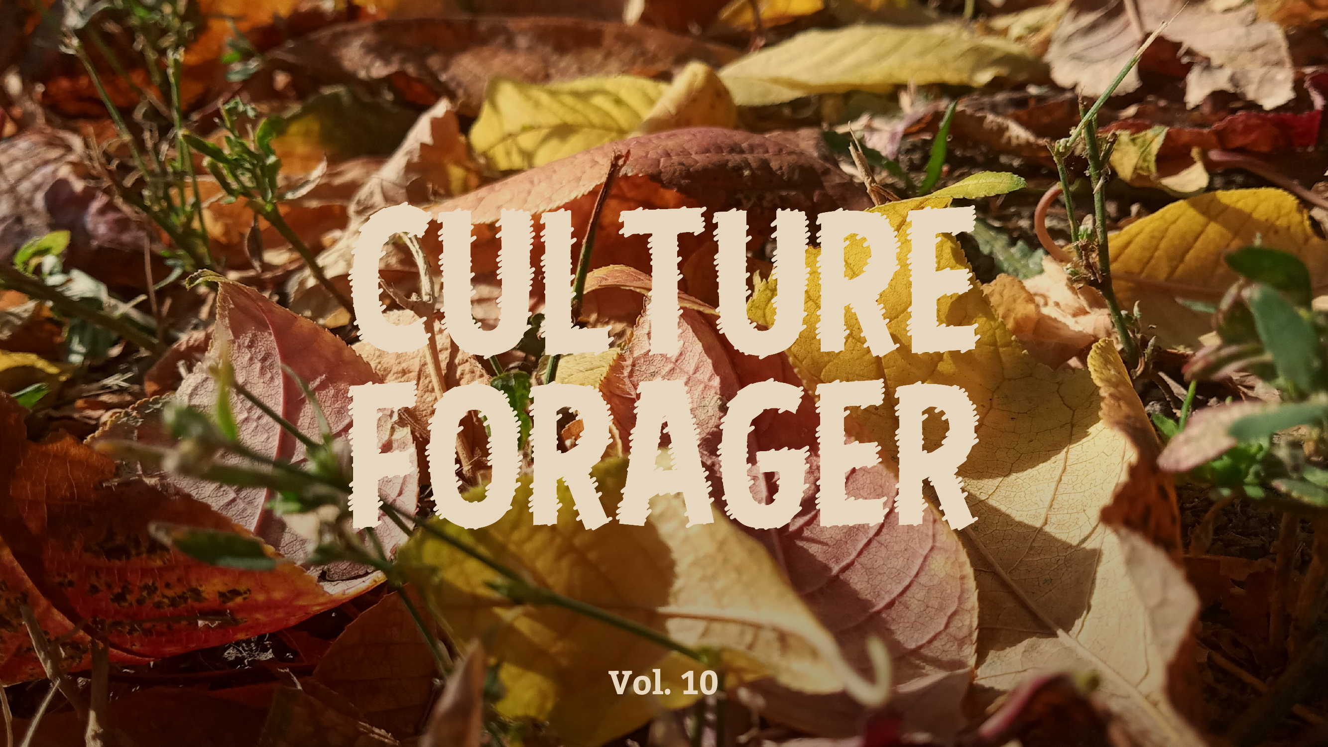 Culture Forager, Vol. 10