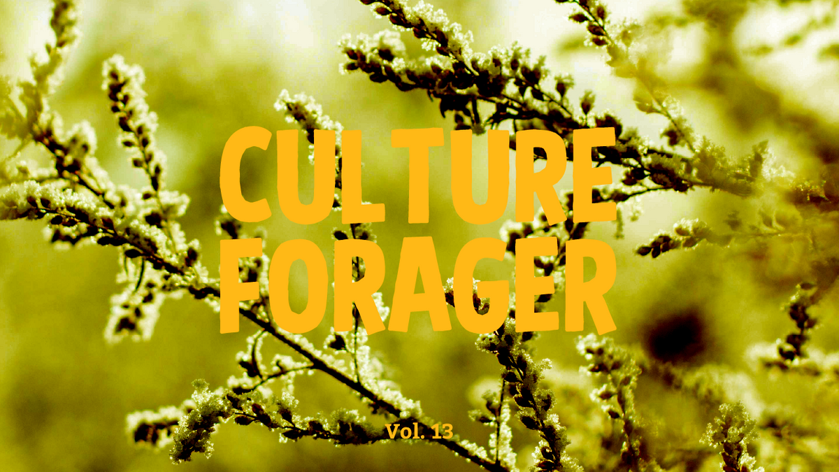 Culture Forager, Vol. 13