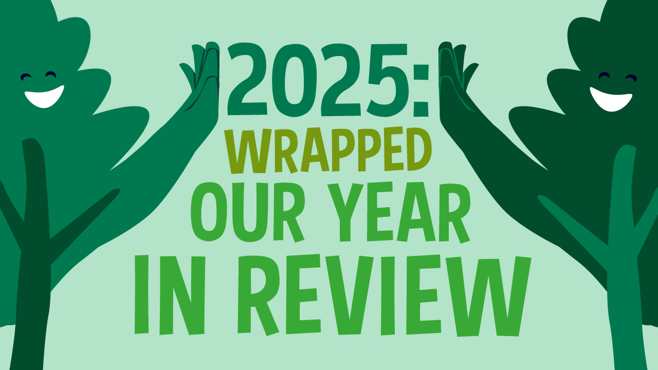2025: wrapped 