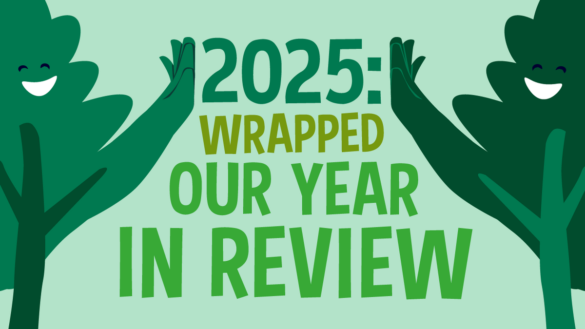 2025: wrapped 