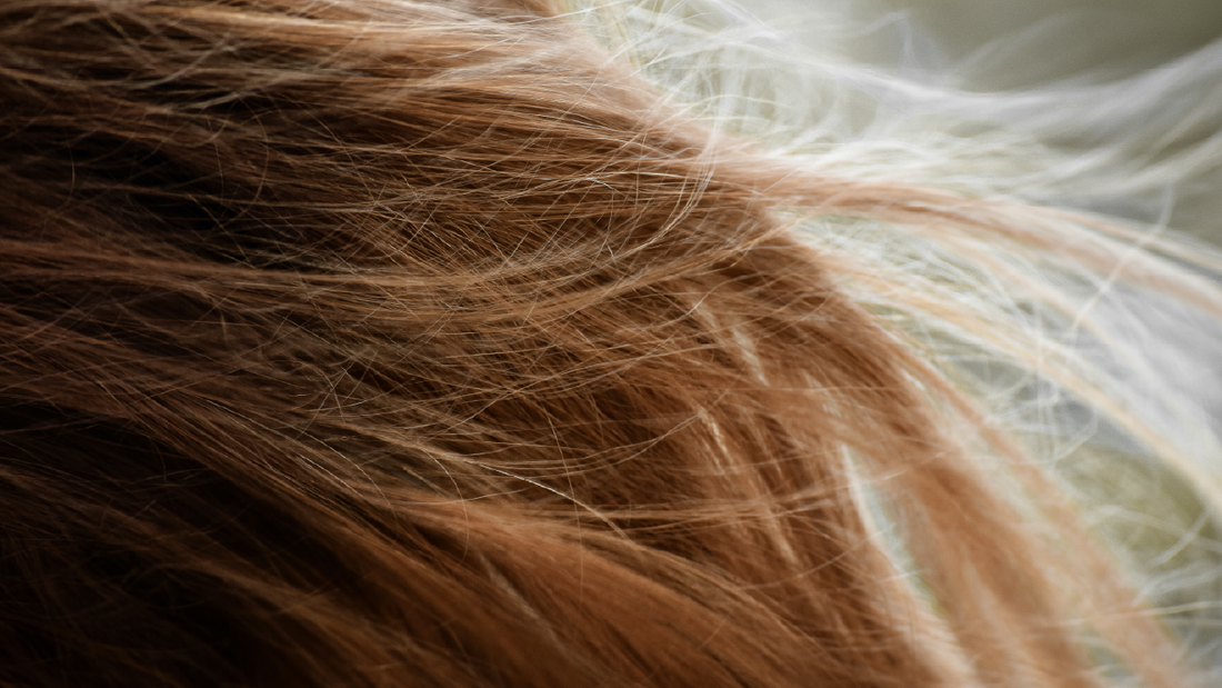 Argan Oil for Dry Hair: Benefits, How to Use It, and What to Look For