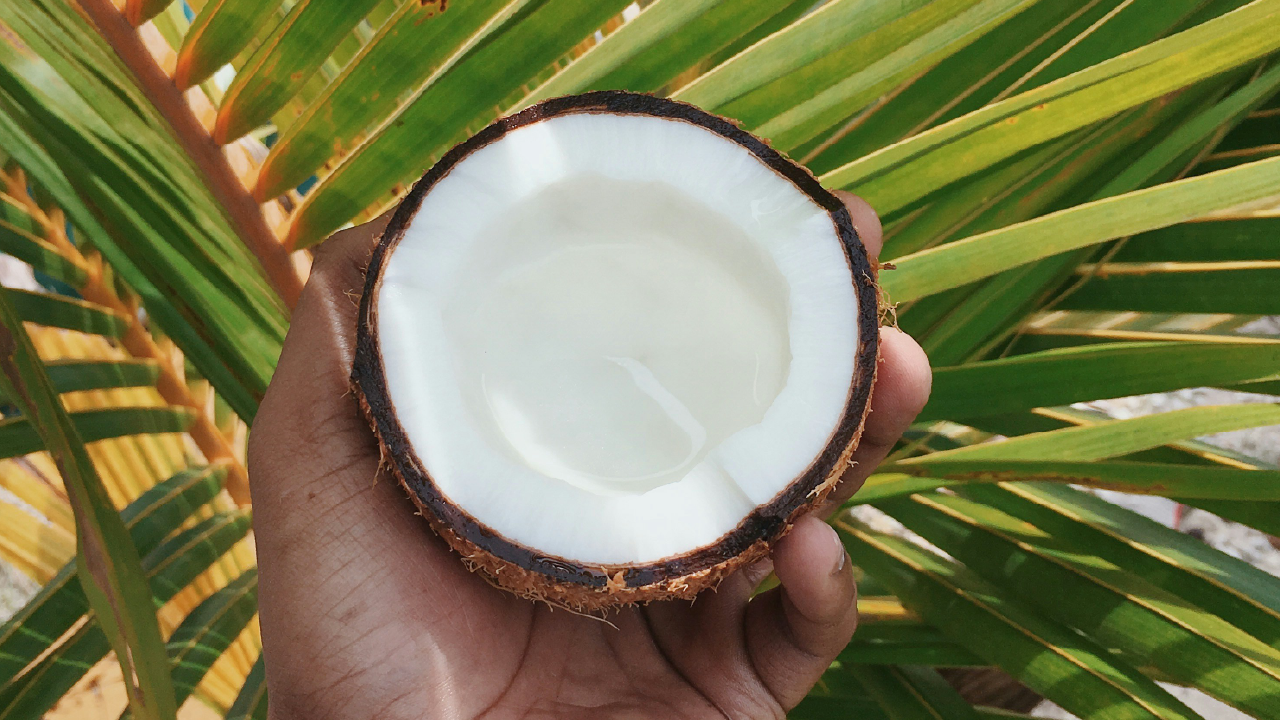 Coconut Oil for Hair Loss: What It Can and Can't Do