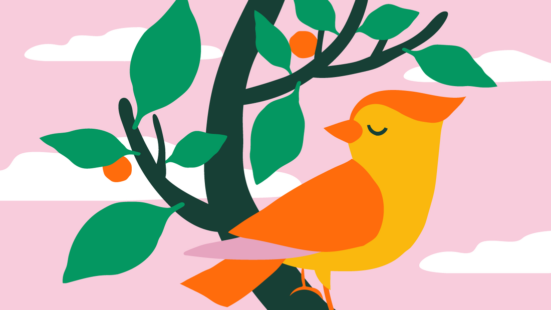 How to Feed the Birds
