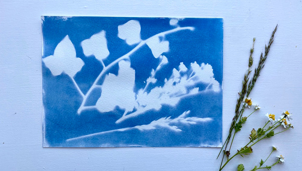 Celebrate the Solstice with Cyanotype