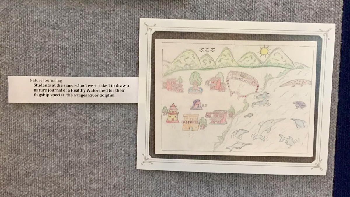 A child’s vision of ecology