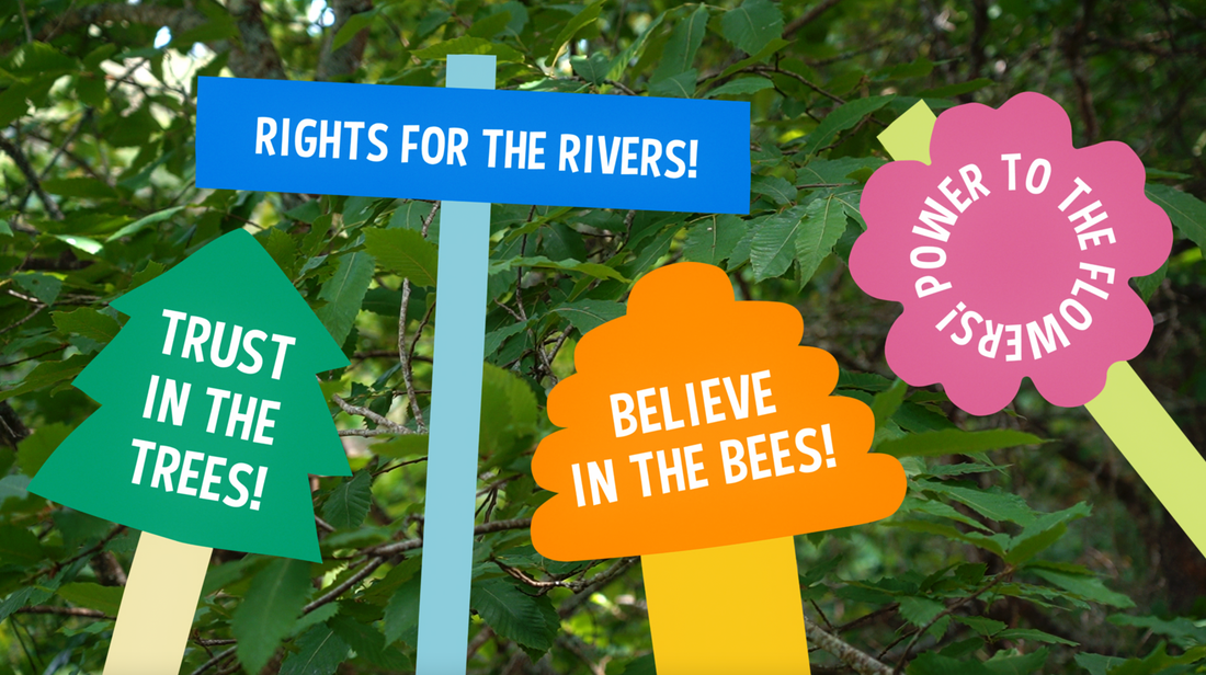 RECOGNISING THE RIGHTS OF NATURE