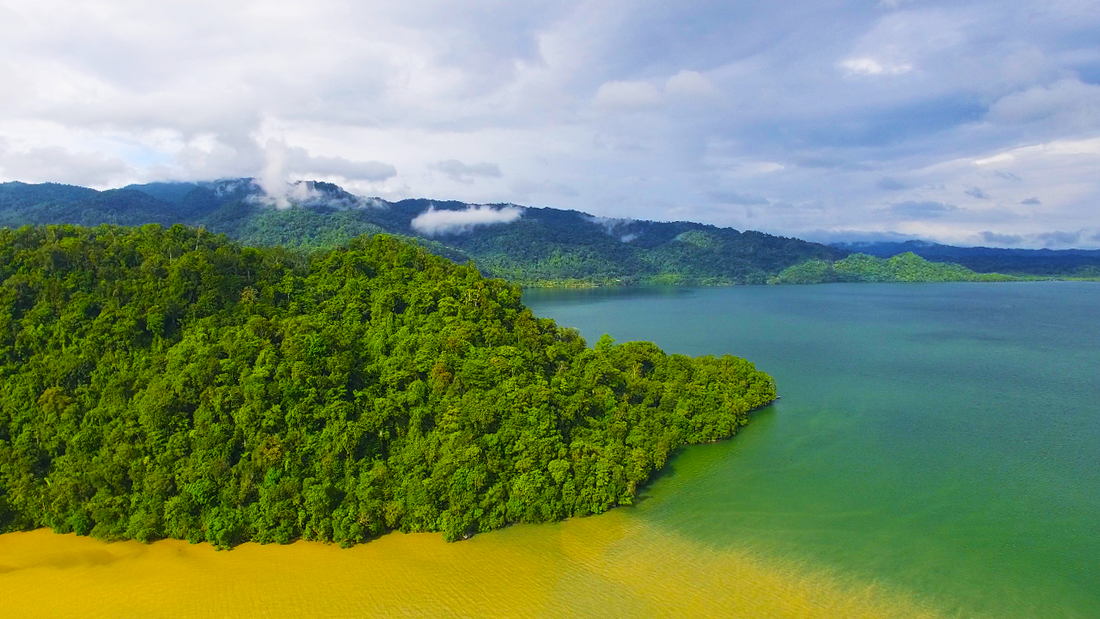 Faith In Nature & World Land Trust