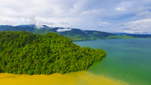 Faith In Nature & World Land Trust