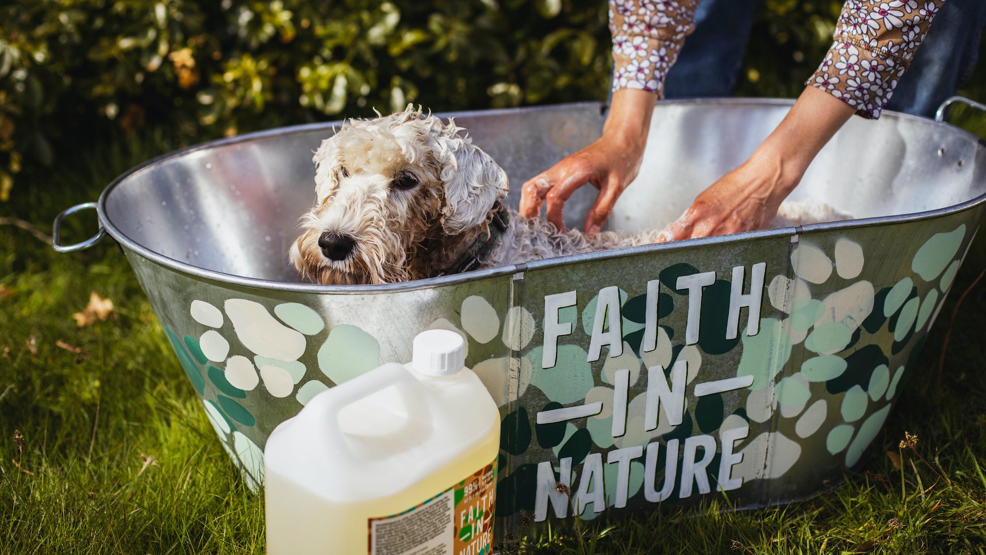 5 Ways To Keep Dogs Calm At Bath Time