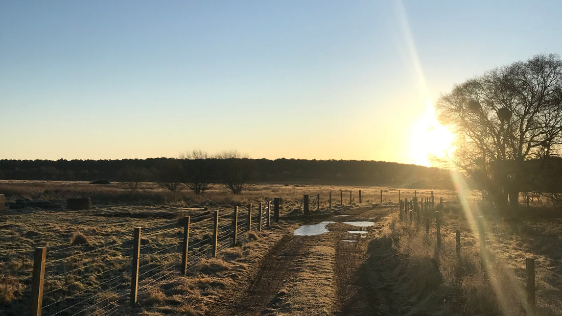 Find Stillness In The Solstice