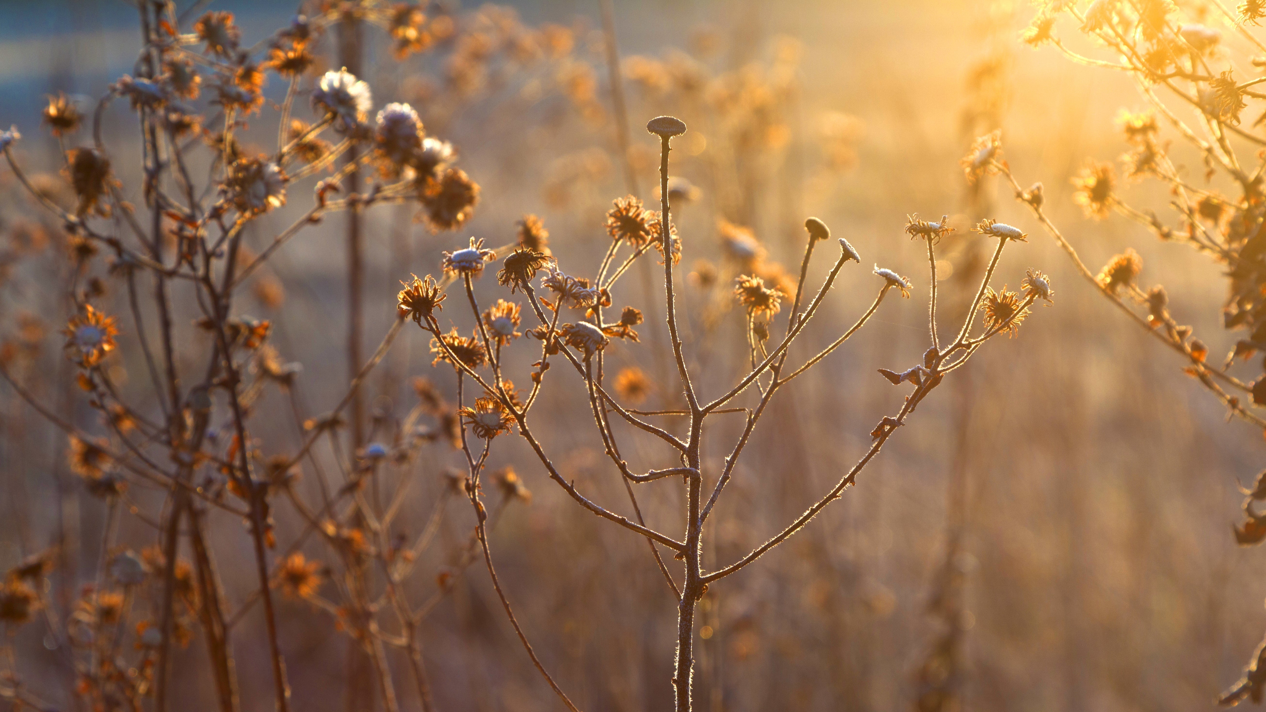 Nature’s Miracle Moisturisers