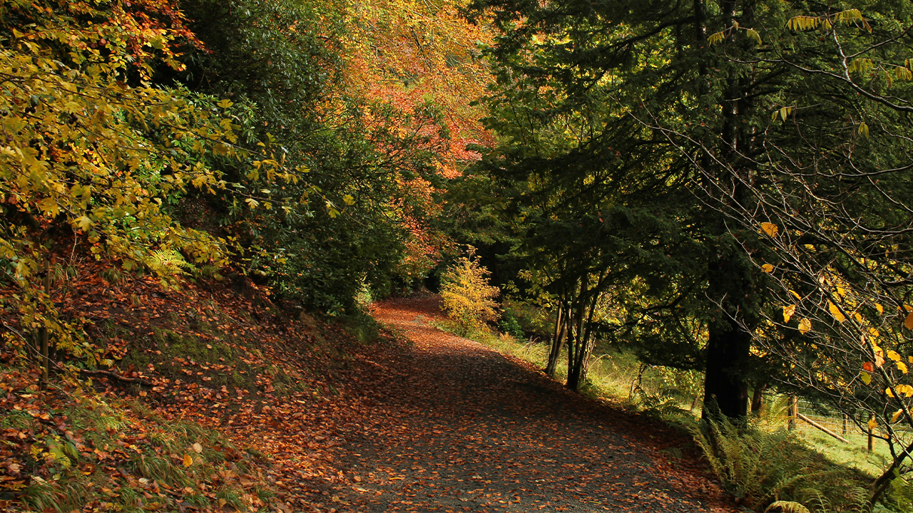 Natural Stress Relief 