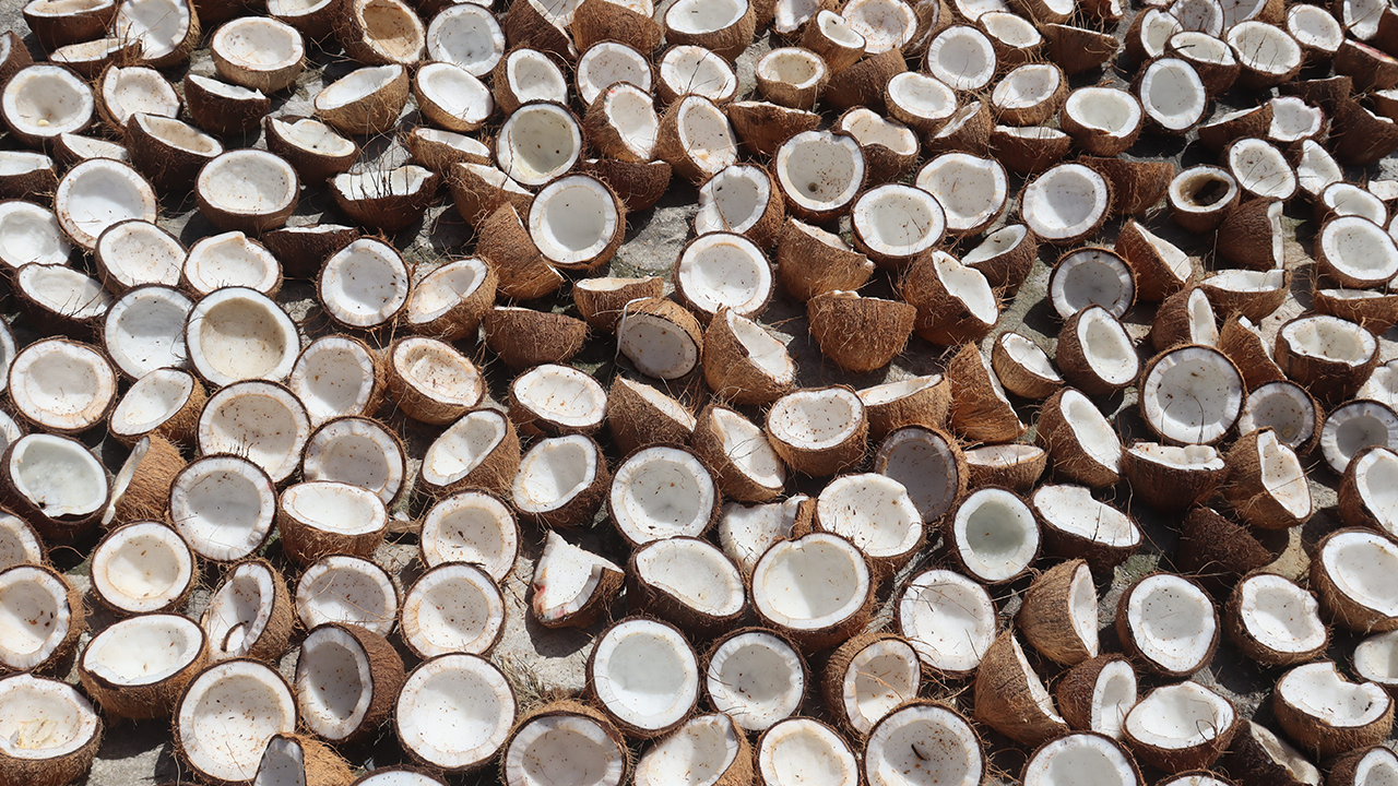 Benefits of coconut oil