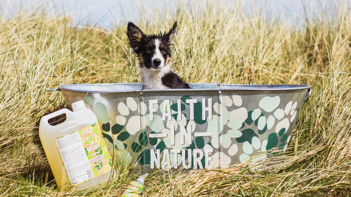 How Often Should You Bath Your Dog?