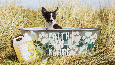 How Often Should You Bath Your Dog?