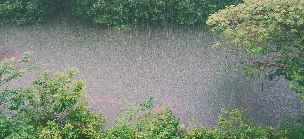 Learn to love the rain