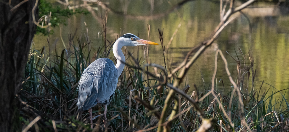 5 ways to take action for our rivers