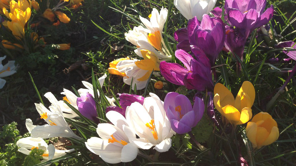 SPRING SELF-CARE, FOR YOU AND NATURE TOO
