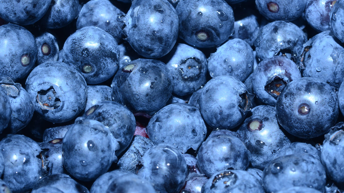 Antioxidants, What Actually Are They?