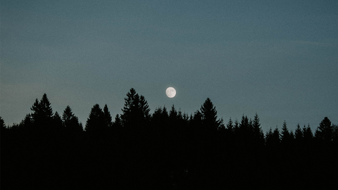 Calming Bedtime Rituals to Help You Sleep