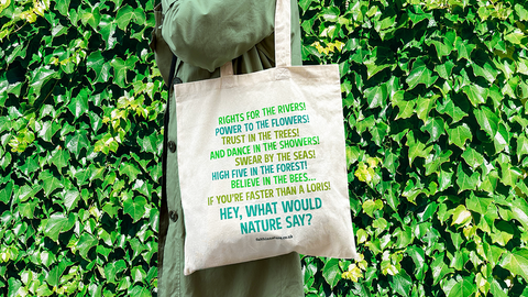 5 ways to reduce carbon footprint