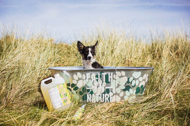 Bulk buy dog shampoo