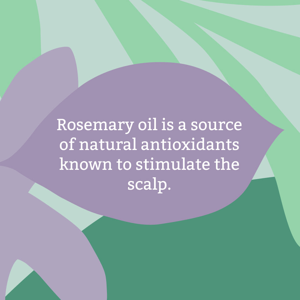 Rosemary 1L haircare set