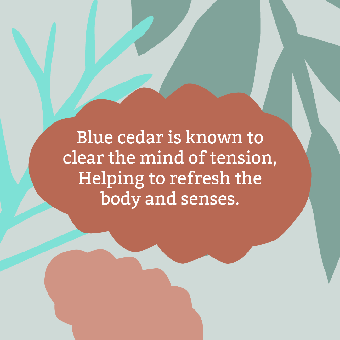 3 x Blue Cedar Soap Bars