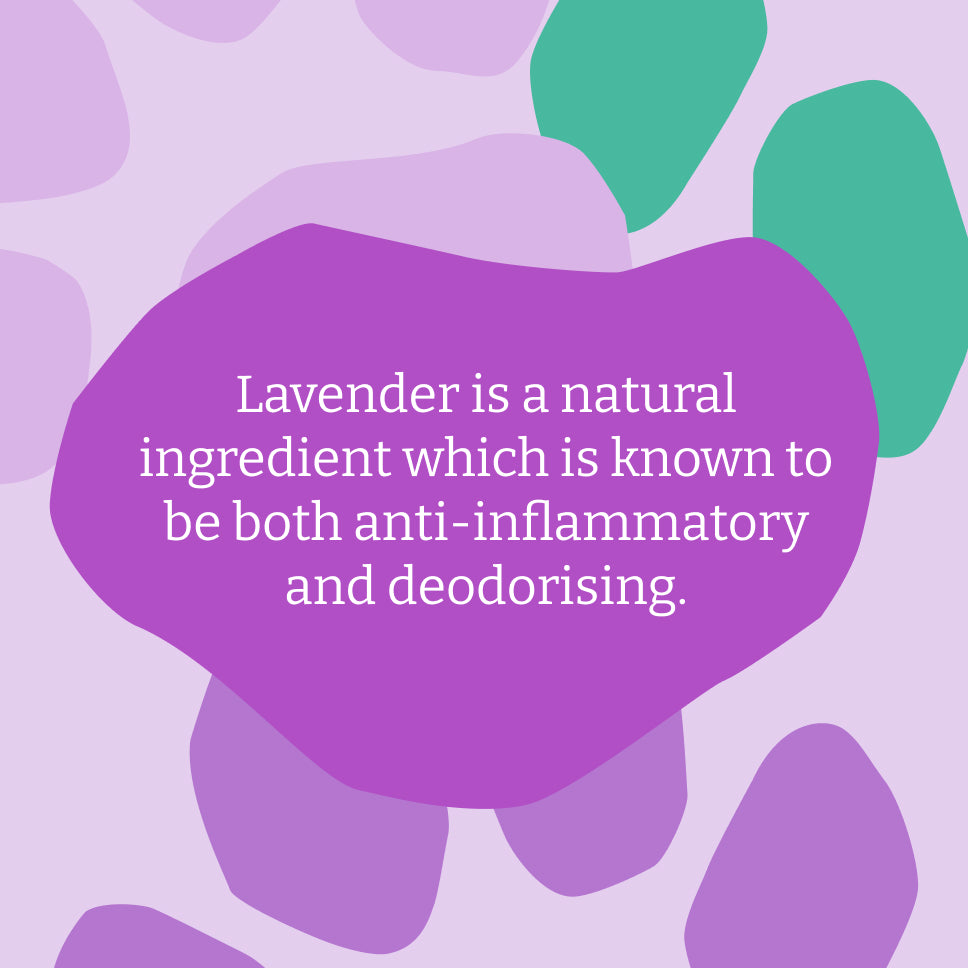 Lavender Dog Shampoo - 400ml