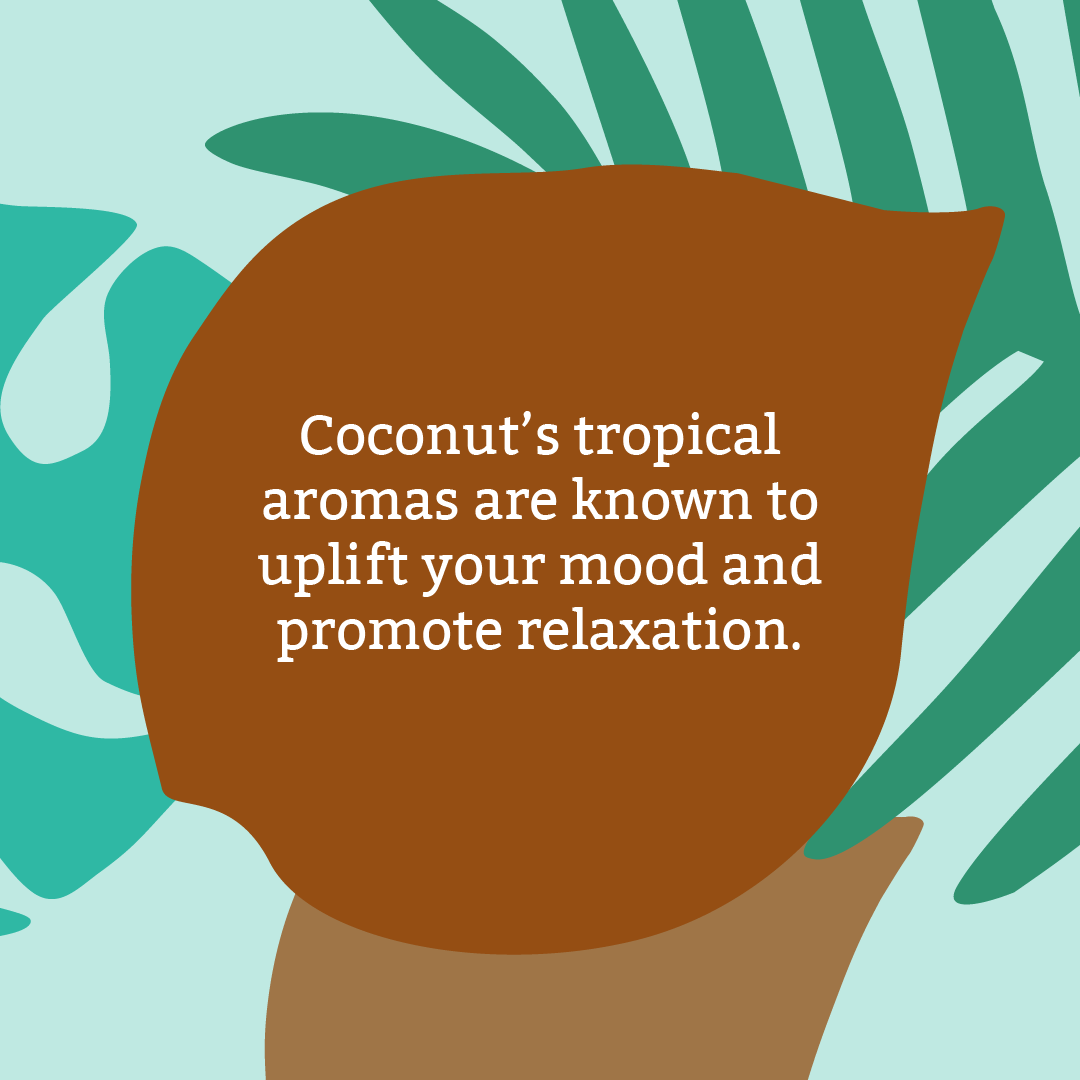 Coconut hand wash duo