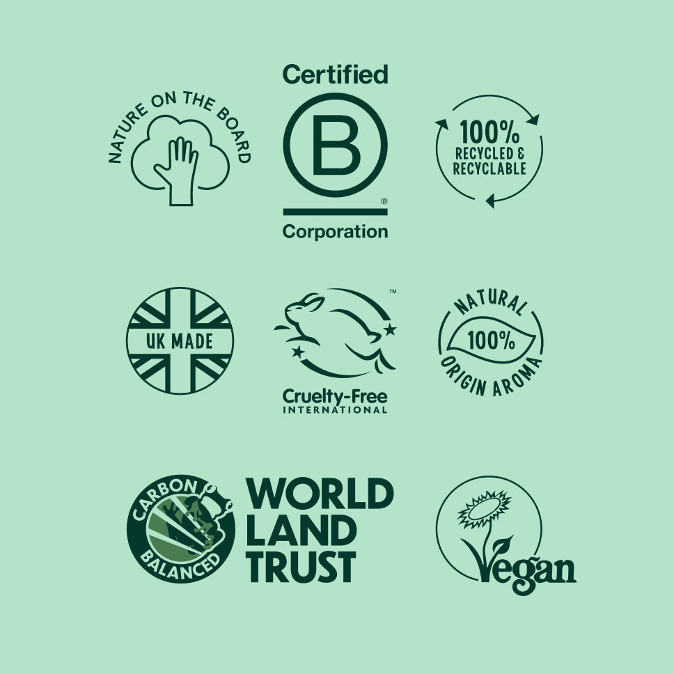 Curly Hair Care Bundle