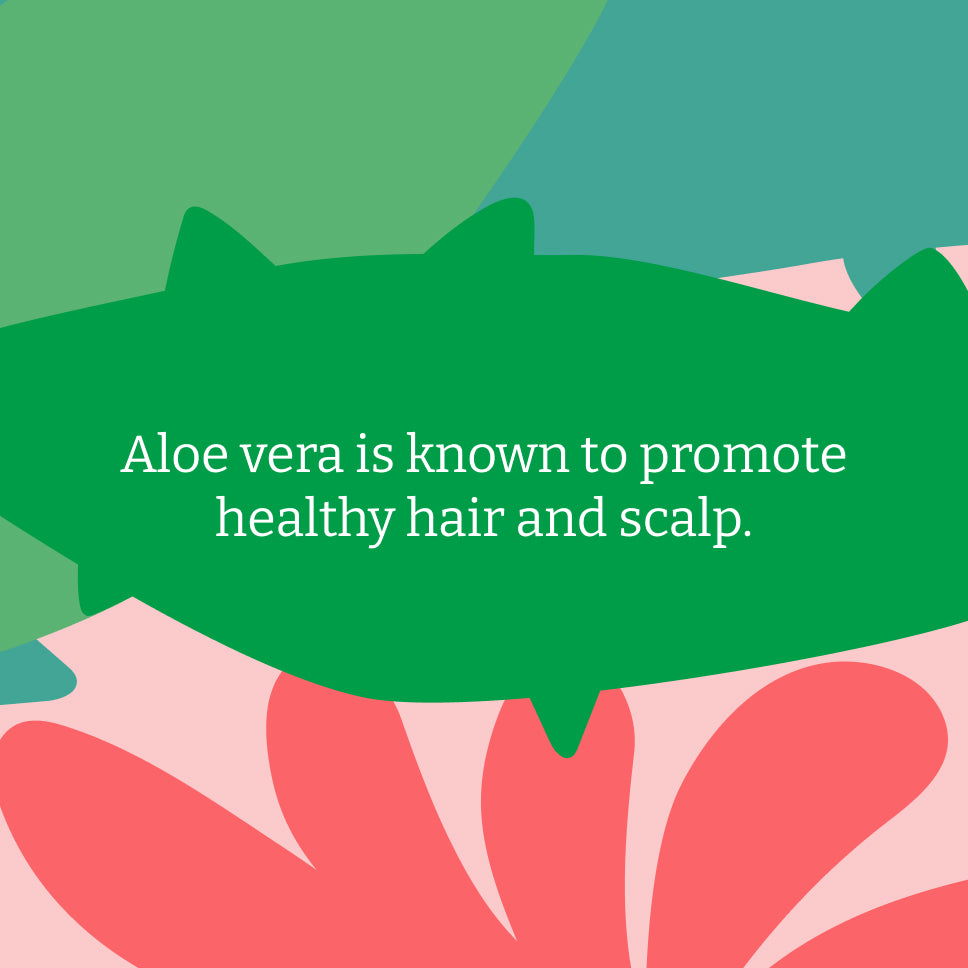 Aloe Vera shampoo & conditioner set